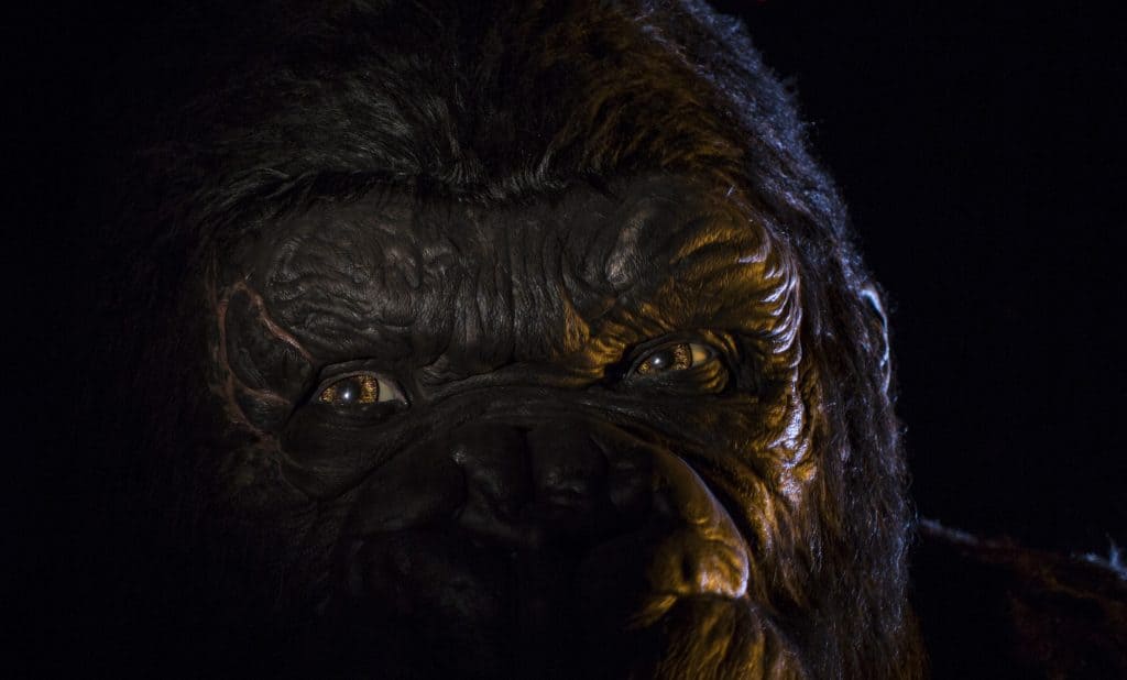 King Kong from Skull Island: Reign of Kong