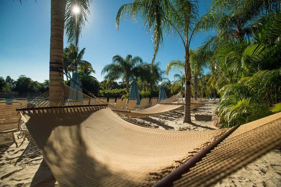 Hammock at Discovery Cove