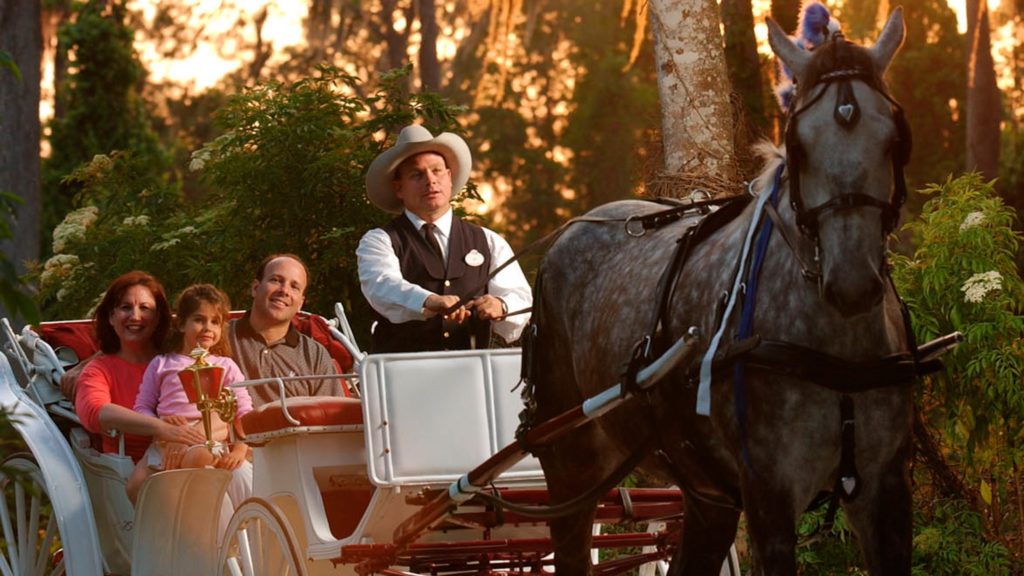 Carriage ride at Walt Disney World