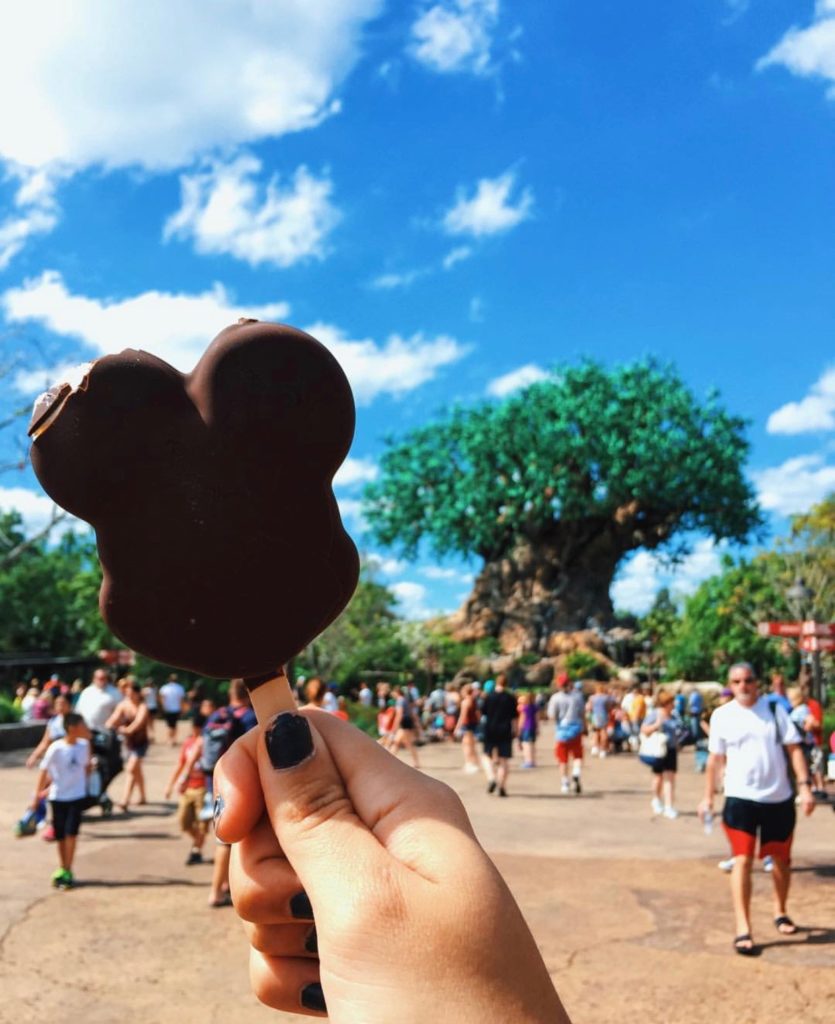 Mickey Bar at Disney's Animal Kingdom