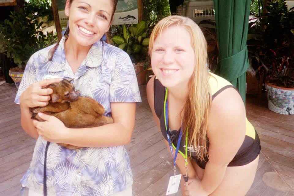 Kinkajou animal encounter at Discovery Cove