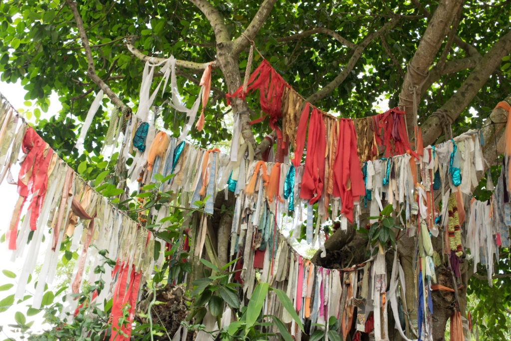 Prayer flags at Disney's Animal Kingdom