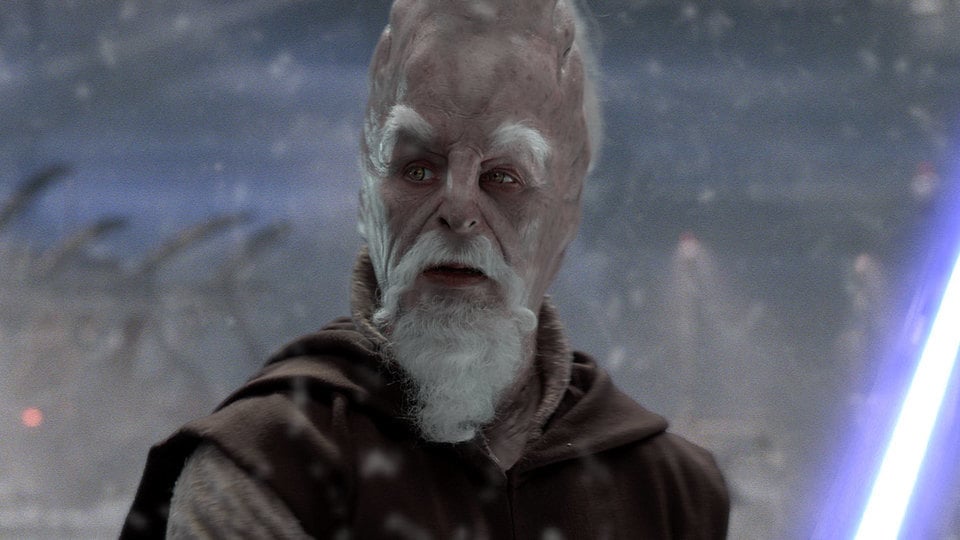 Ki-Adi-Mundi on Mygeeto in "Star Wars: Revenge of the Sith"