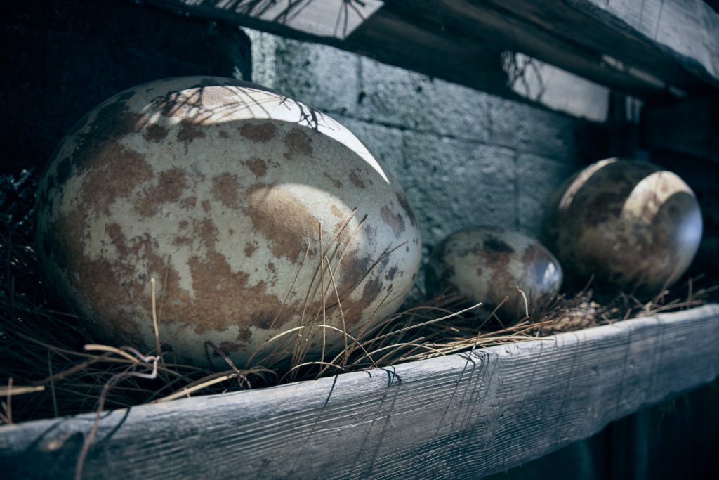 Dragon eggs in Hagrid's Magical Creatures Motorbike Adventure