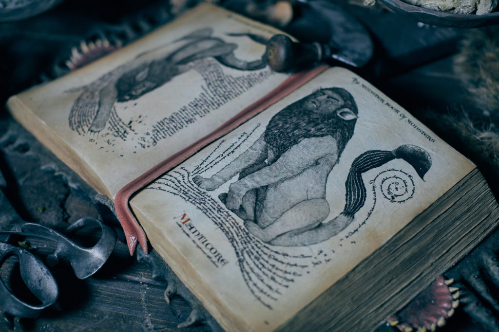 "The Monster Book of Monsters" in Hagrid's Magical Creatures Motorbike Adventure