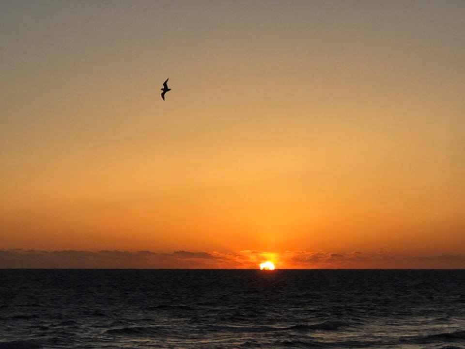 Clearwater Beach