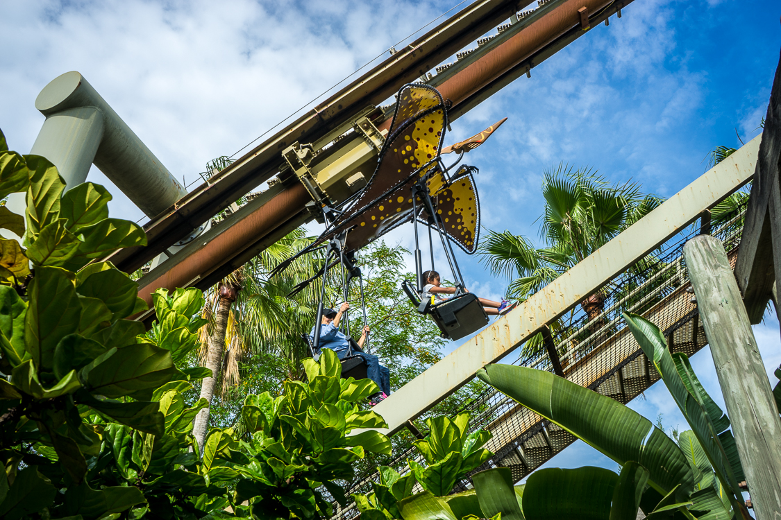 Pteranodon Flyers lift hill