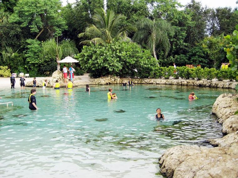 disney cove orlando