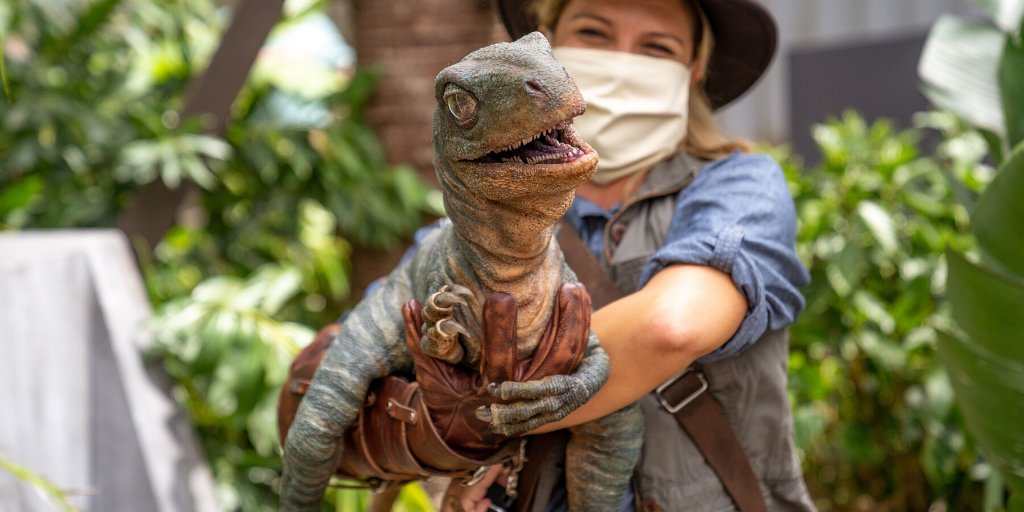 Sierra, the six-month-old velociraptor at Universal Orlando Resort
