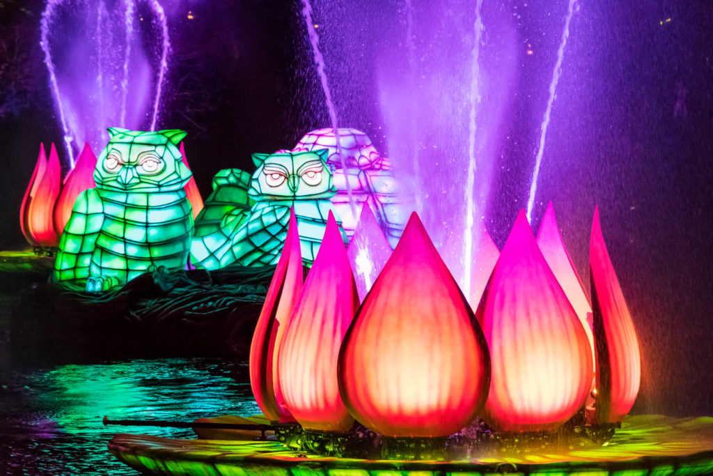 Rivers of Light Water Lillies and Owl Float