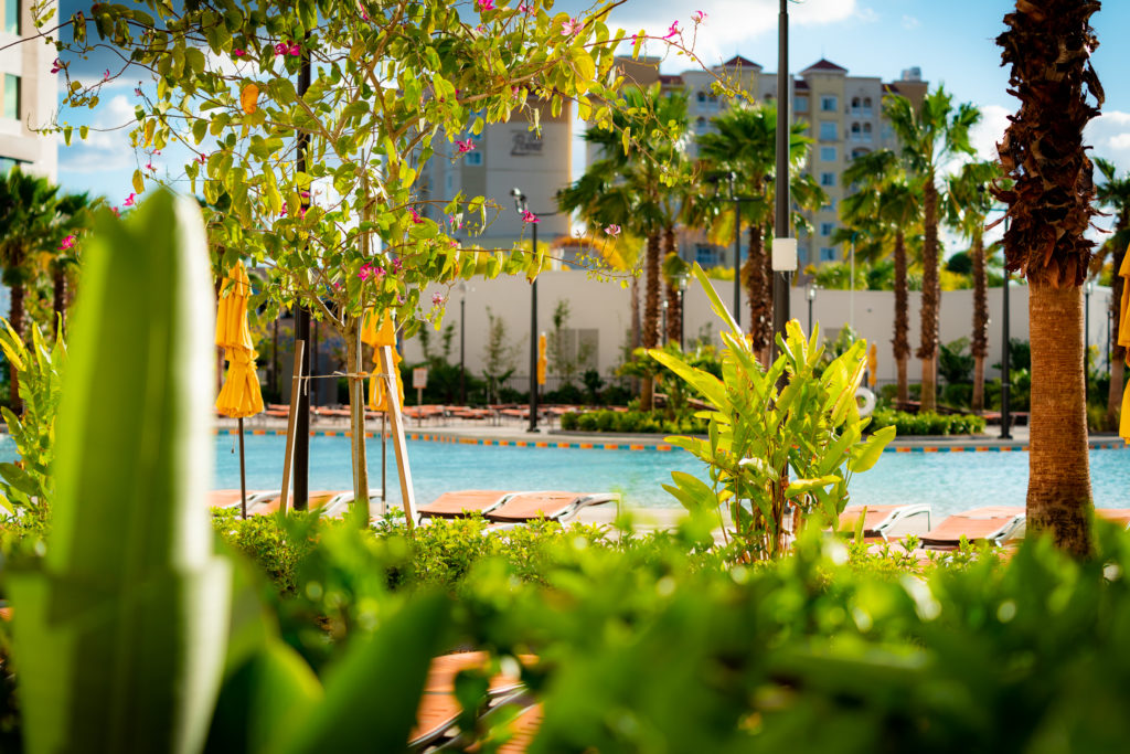 Lush landscaping decorates the pool area at Dockside Inn and Suites