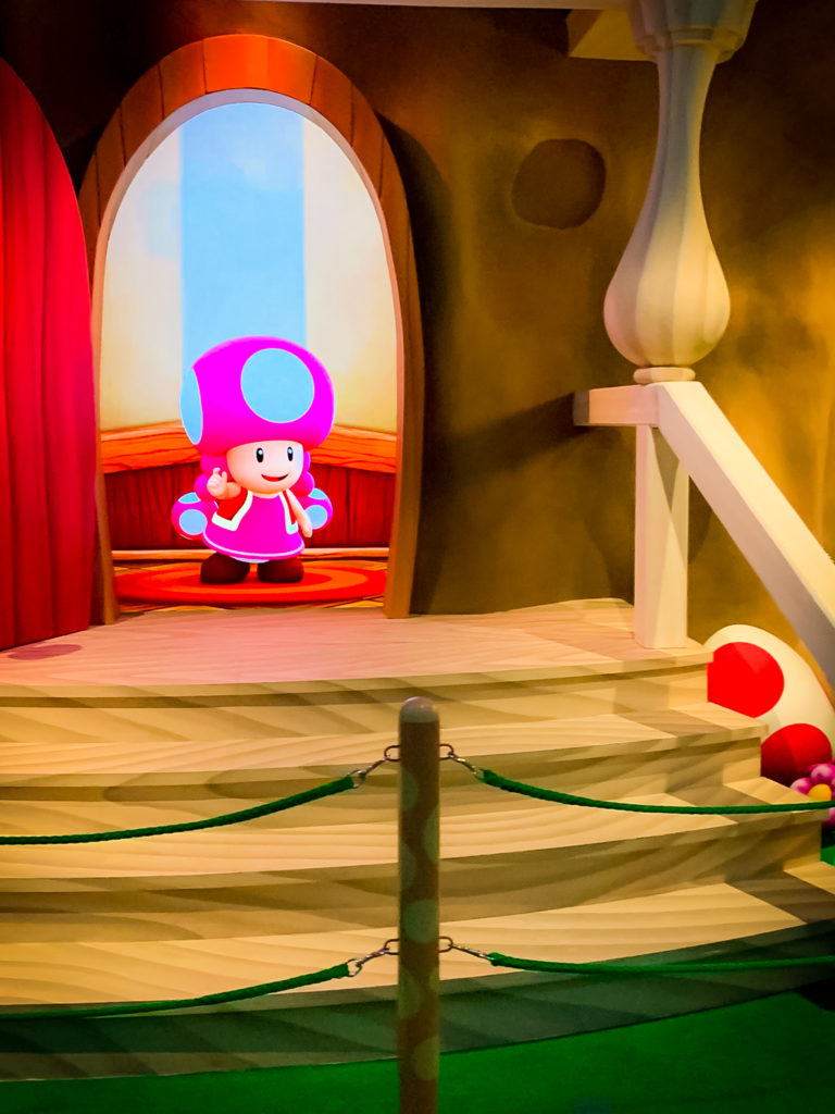 Toadette in the queue of Yoshi's Adventure