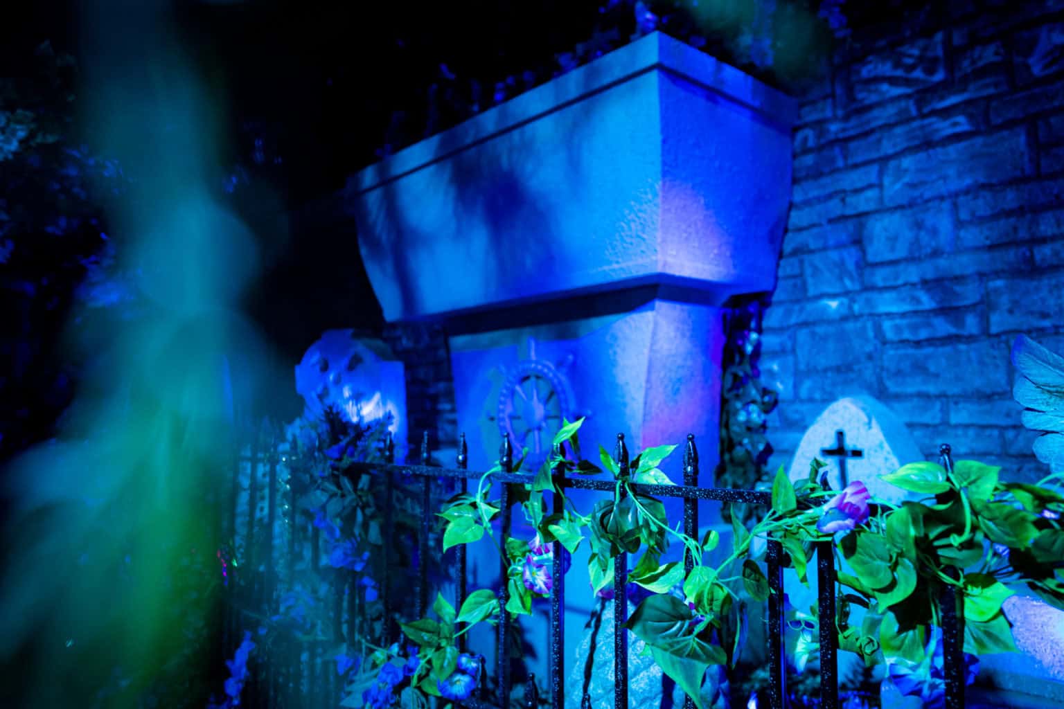 Mardi Gras 2021 Inside the best Tribute Store yet