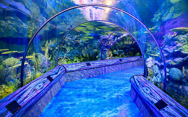 Seaworld Orlando Resort