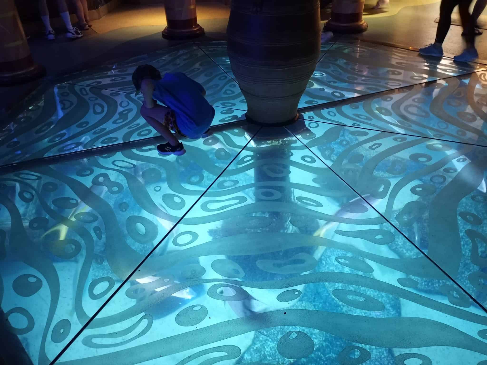 Spend the day at SeaWorld Orlando