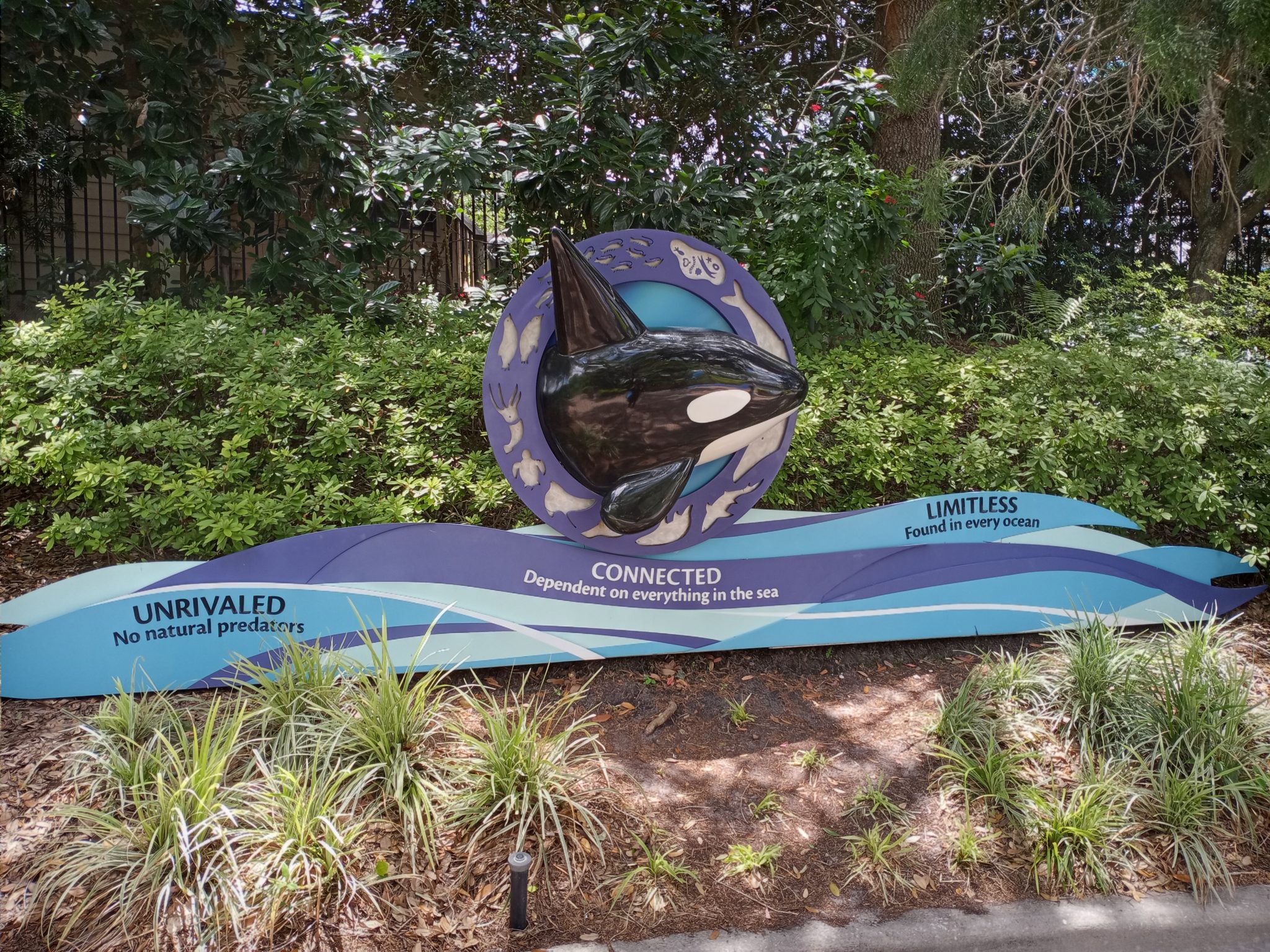 Rides and Attractions at SeaWorld Orlando | Orlando Informer