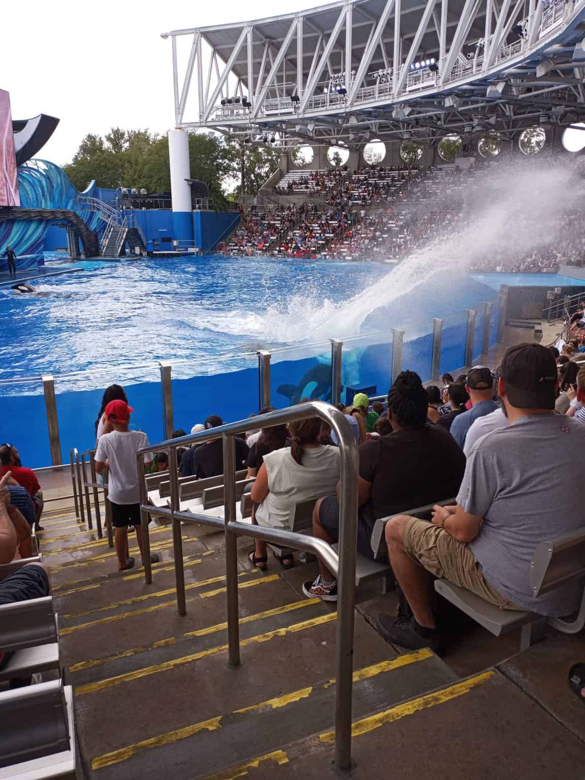 Spend the day at SeaWorld Orlando
