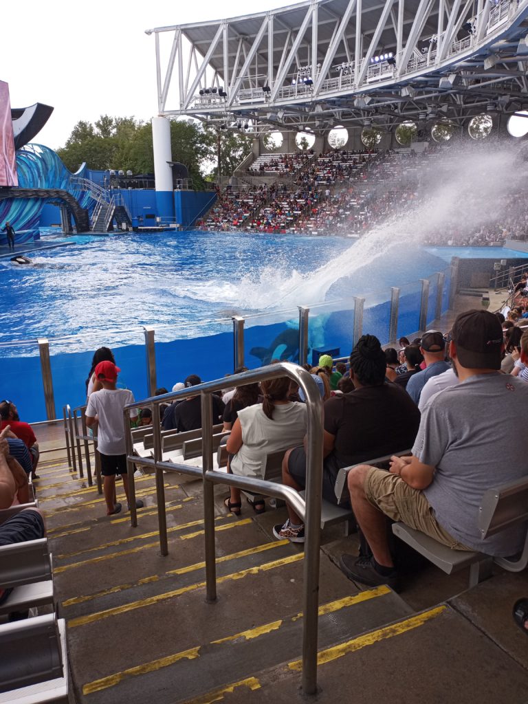 Orca splash zone at SeaWorld Orlando