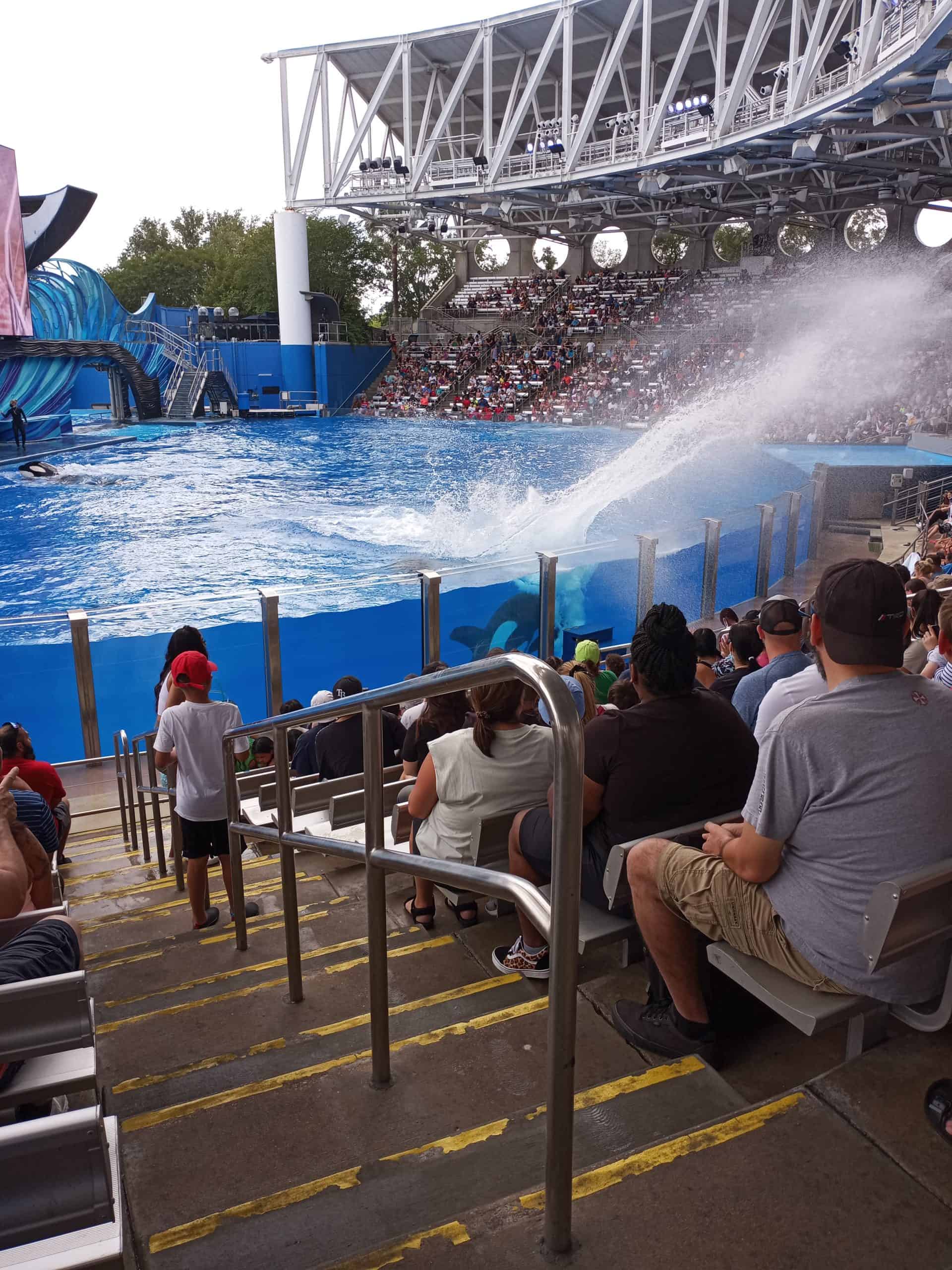 Spend the day at SeaWorld Orlando