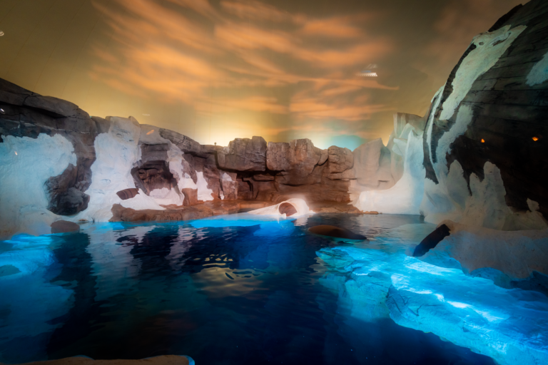 Wild Arctic At Seaworld Orlando 