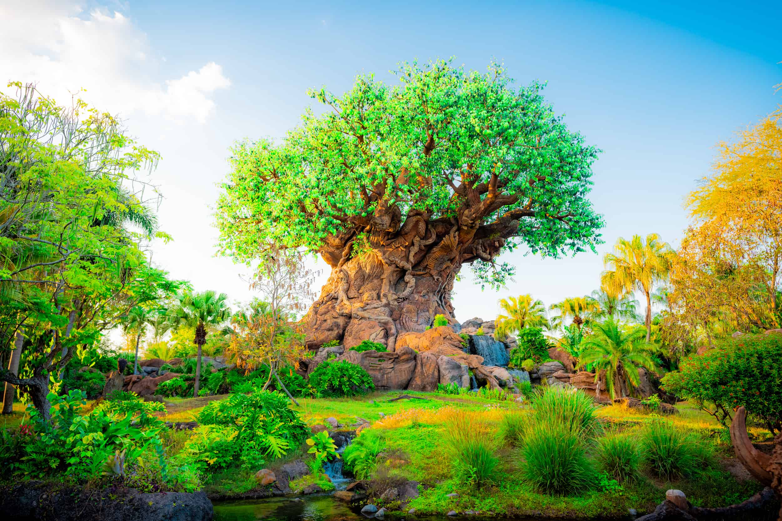 Disney's Animal Kingdom: Complete Overview of Lands and Areas | Orlando  Informer