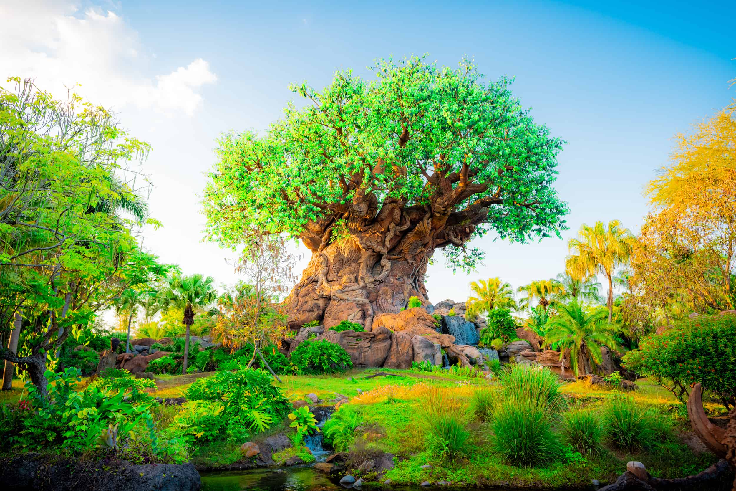 Walt Disney Animal Kingdom Park - Image to u