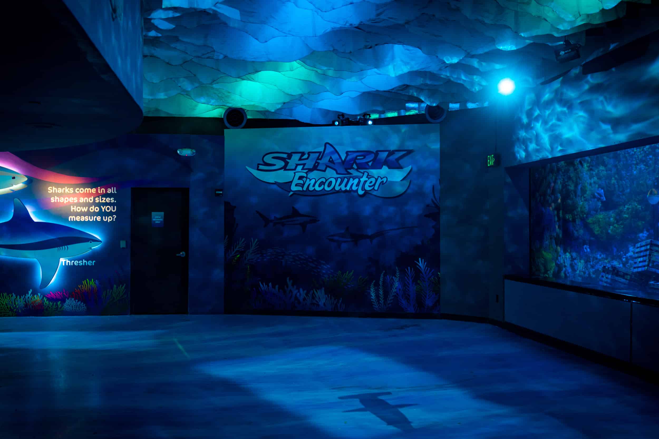 Shark Encounter At Seaworld Orlando Orlando Informer