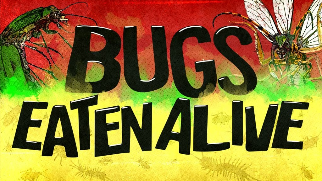 Bugs: Eaten Alive at Halloween Horror Nights 2022 key art