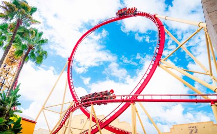 Hollywood Rip Ride Rockit: A Guide for Nervous Riders