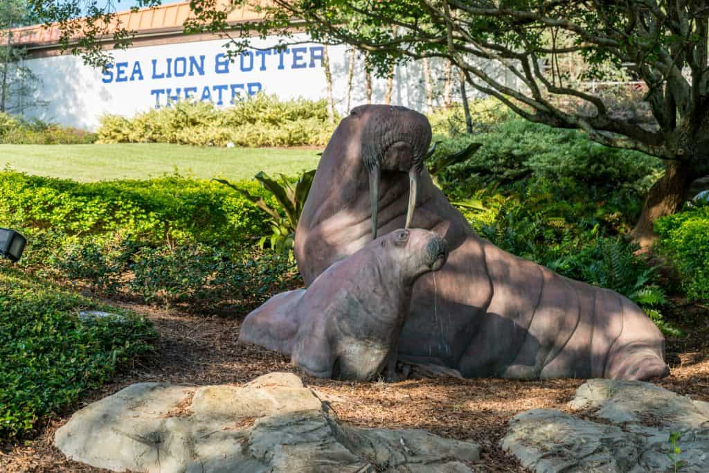 Sea Lion and Otter Spotlight at SeaWorld Orlando