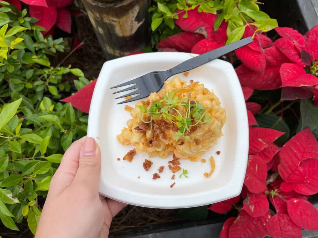 SeaWorld Christmas Celebration Harvest Mac & Cheese