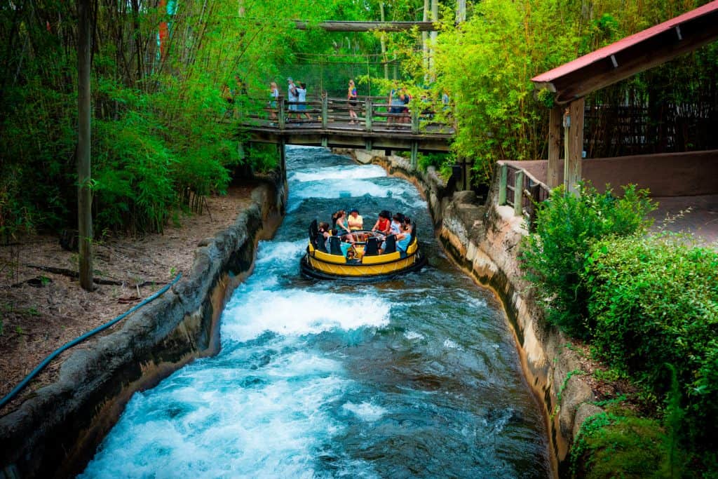 Congo River Rapids at Busch Gardens Tampa Bay