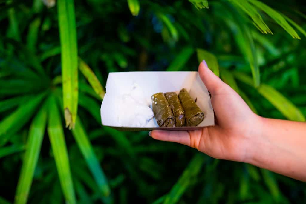 Stuffed Grape Leaves with Tzatziki Sauce at Busch Gardens Tampa Bay's Food & Wine Festival