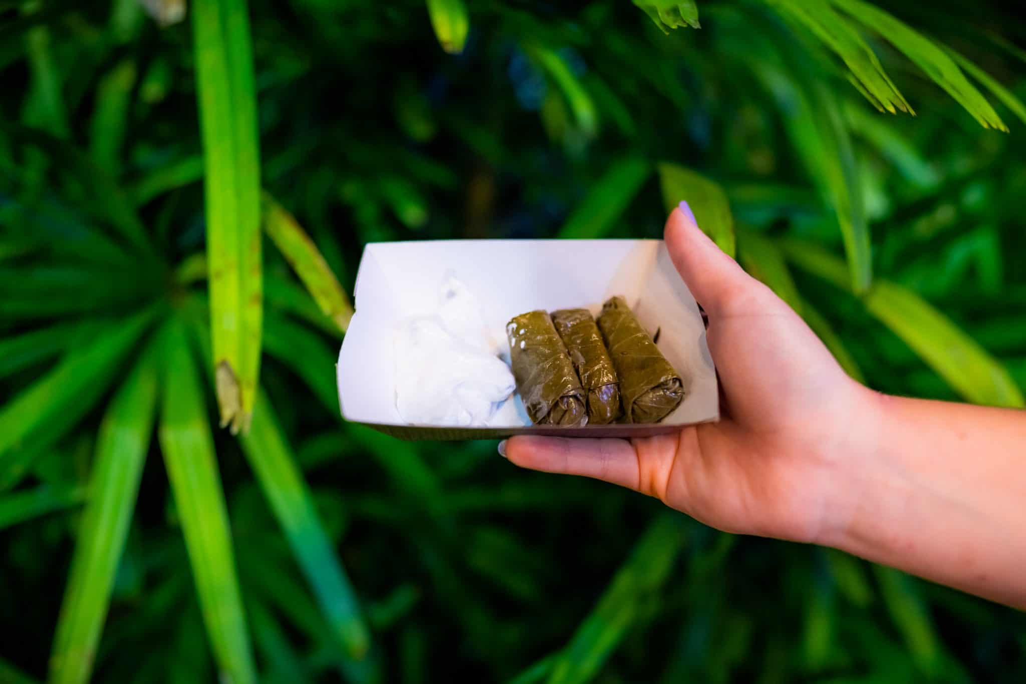 Stuffed Grape Leaves with Tzatziki Sauce at Busch Gardens Tampa Bay's Food & Wine Festival