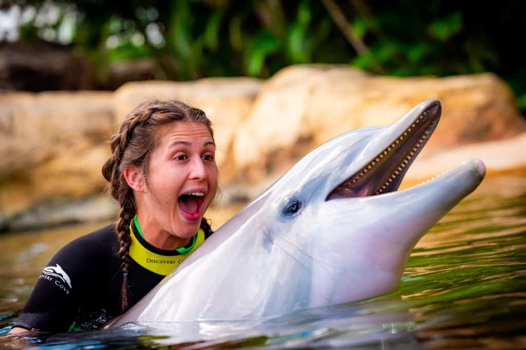 Buy Dolphin Encounter and Discovery Tickets - Special Price 2023