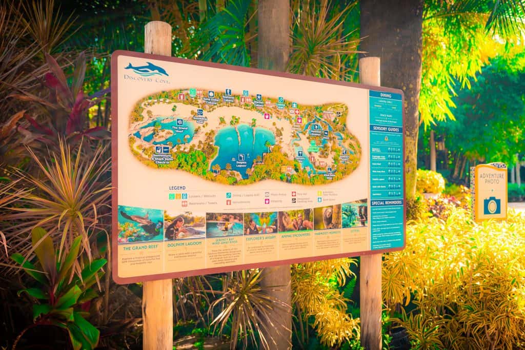 Discovery Cove Complete Guide and Overview Orlando Informer