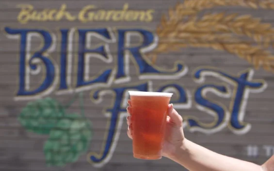 Cider, Cocktails & Sours at Busch Gardens Tampa Bay's Bier Festival