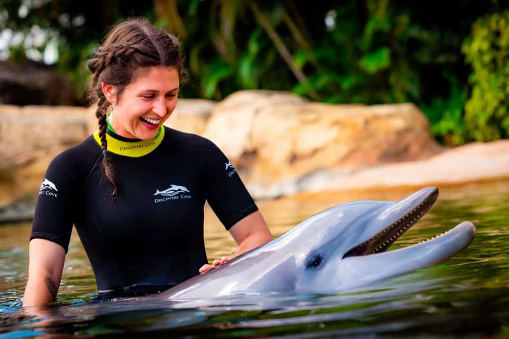 Swim with Dolphins at Discovery Cove