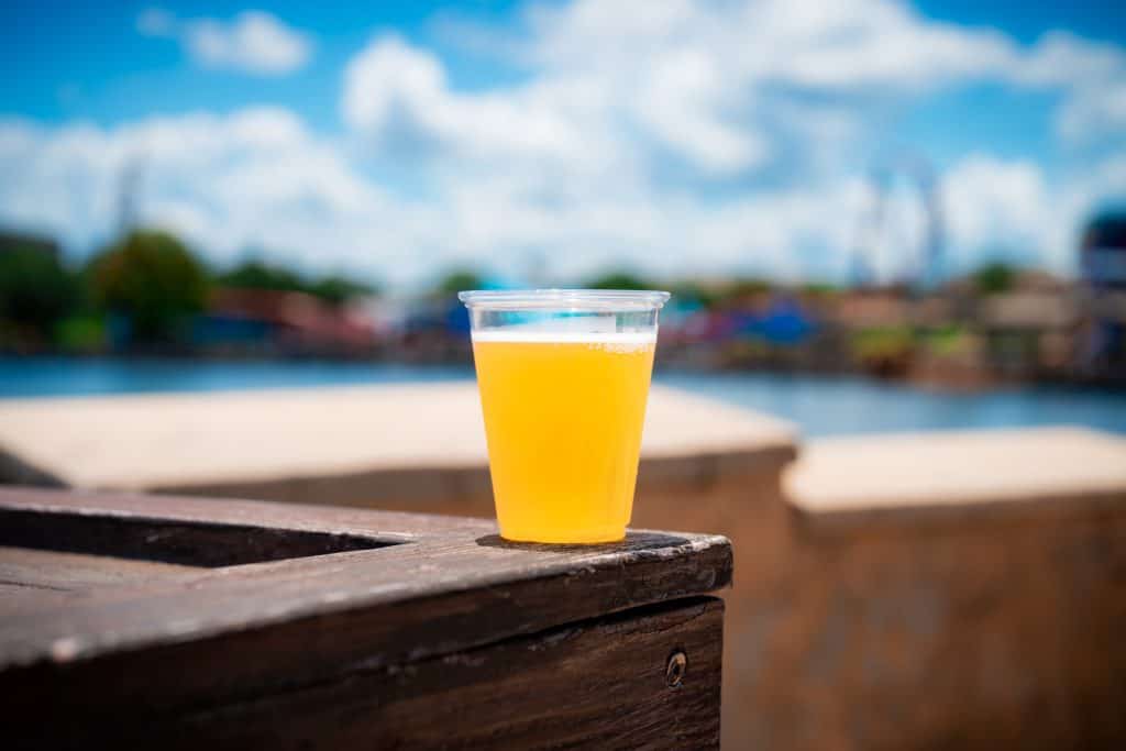 Brew Hub Key Lime Pie Sour at SeaWorld Orlando's Craft Beer Festival