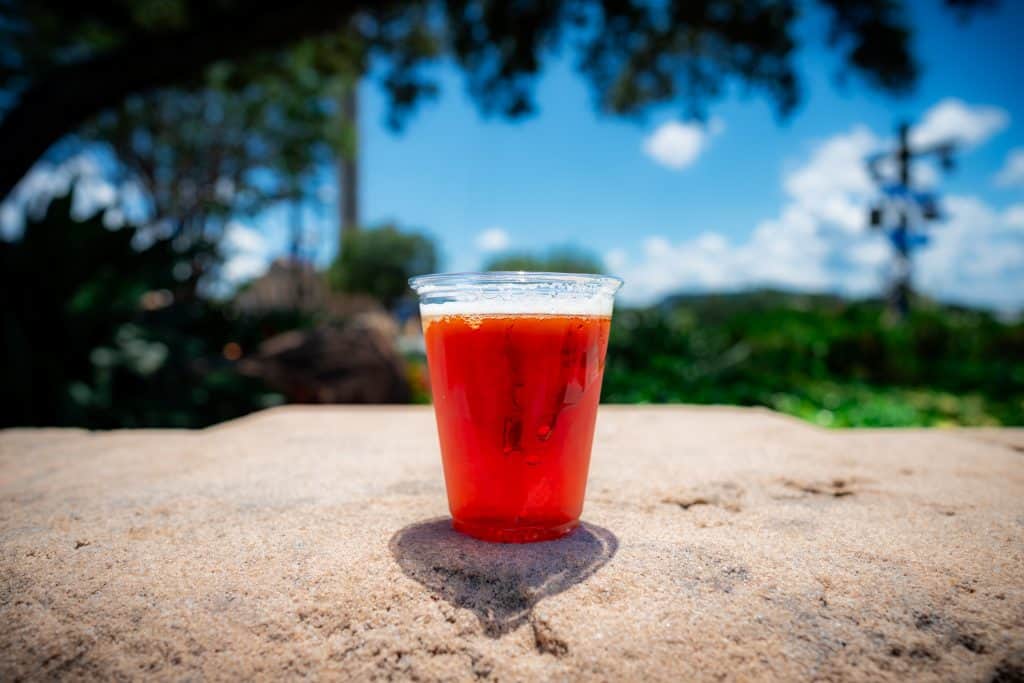 Brewlando Red Lake Irish Red at SeaWorld Orlando's Craft Beer Festival