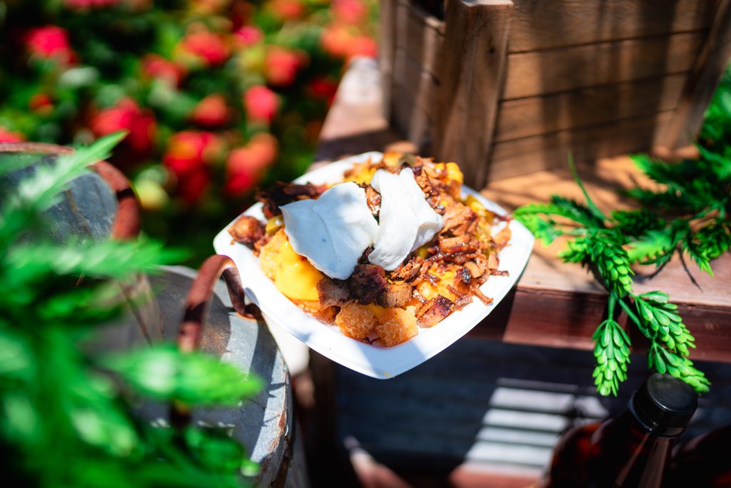 Totchos at SeaWorld Orlando's Craft Beer Festival