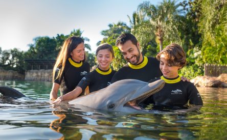 Ultimate Family Adventure: Why Discovery Cove is a Must-Visit