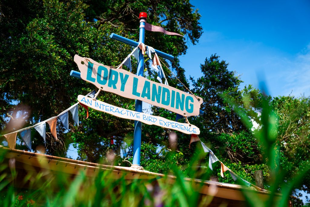 Lory Landing at Busch Gardens Tampa Bay