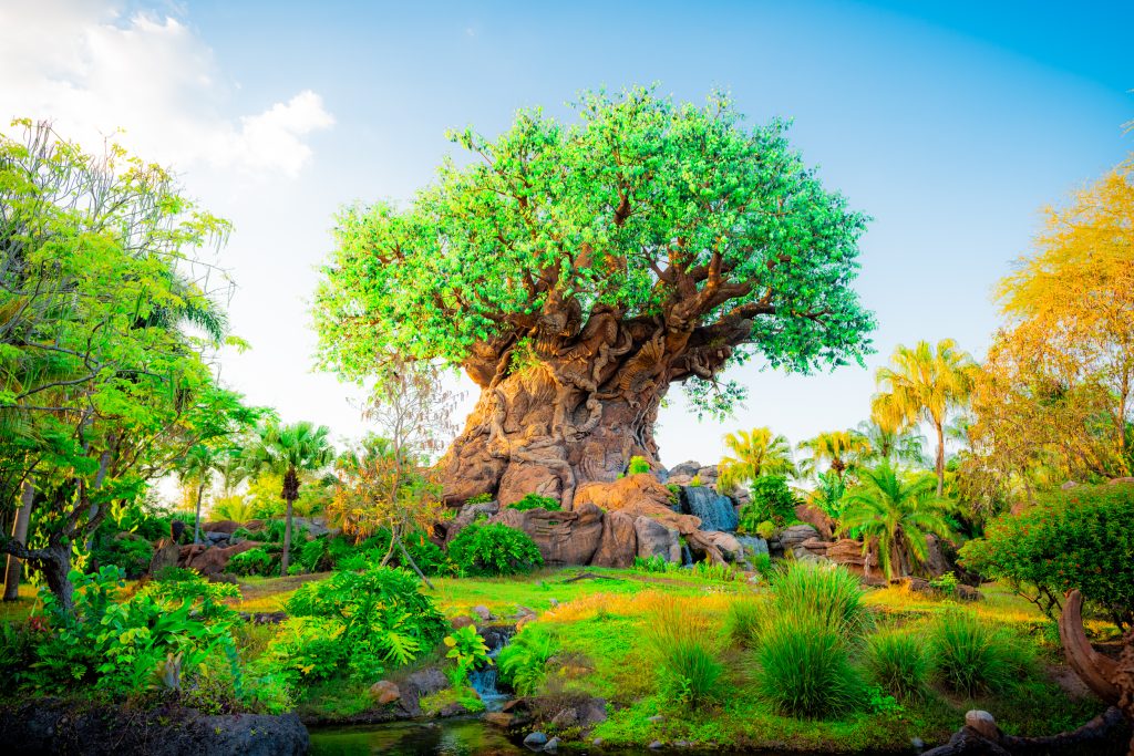 Disney's Animal Kingdom Theme Park