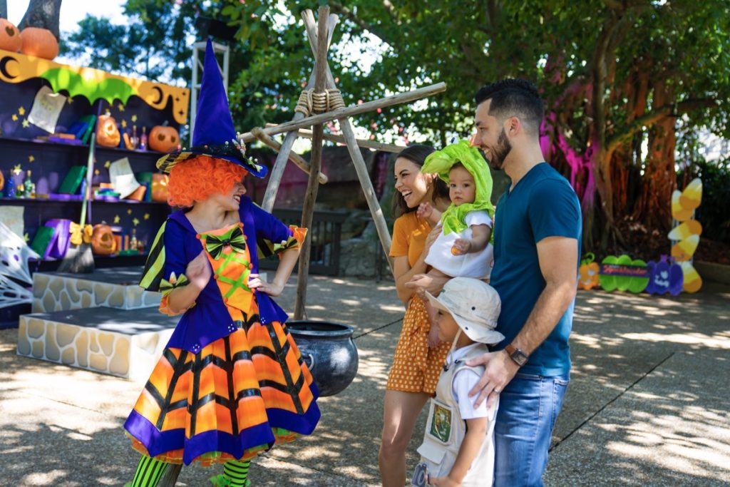 Kandy's Sweetacular Celebration at Busch Gardens Tampa Bay