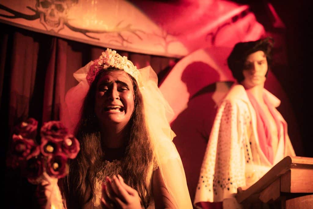 The Ultimate Gamble at SeaWorld Orlando's Howl-O-Scream