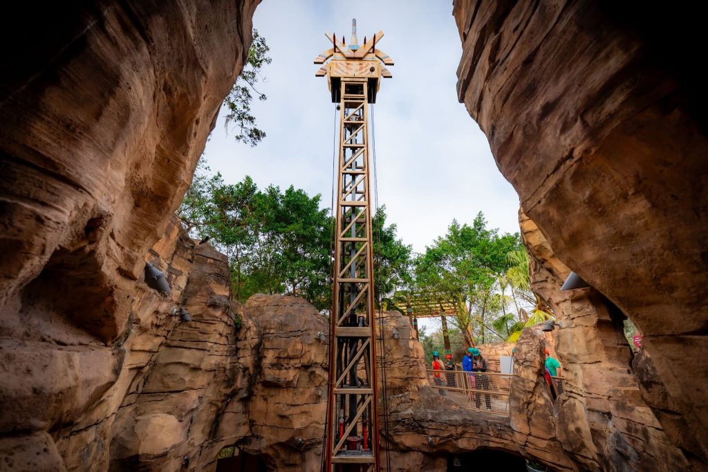 Tree Top Drop at Busch Gardens Tampa Bay's Wild Oasis