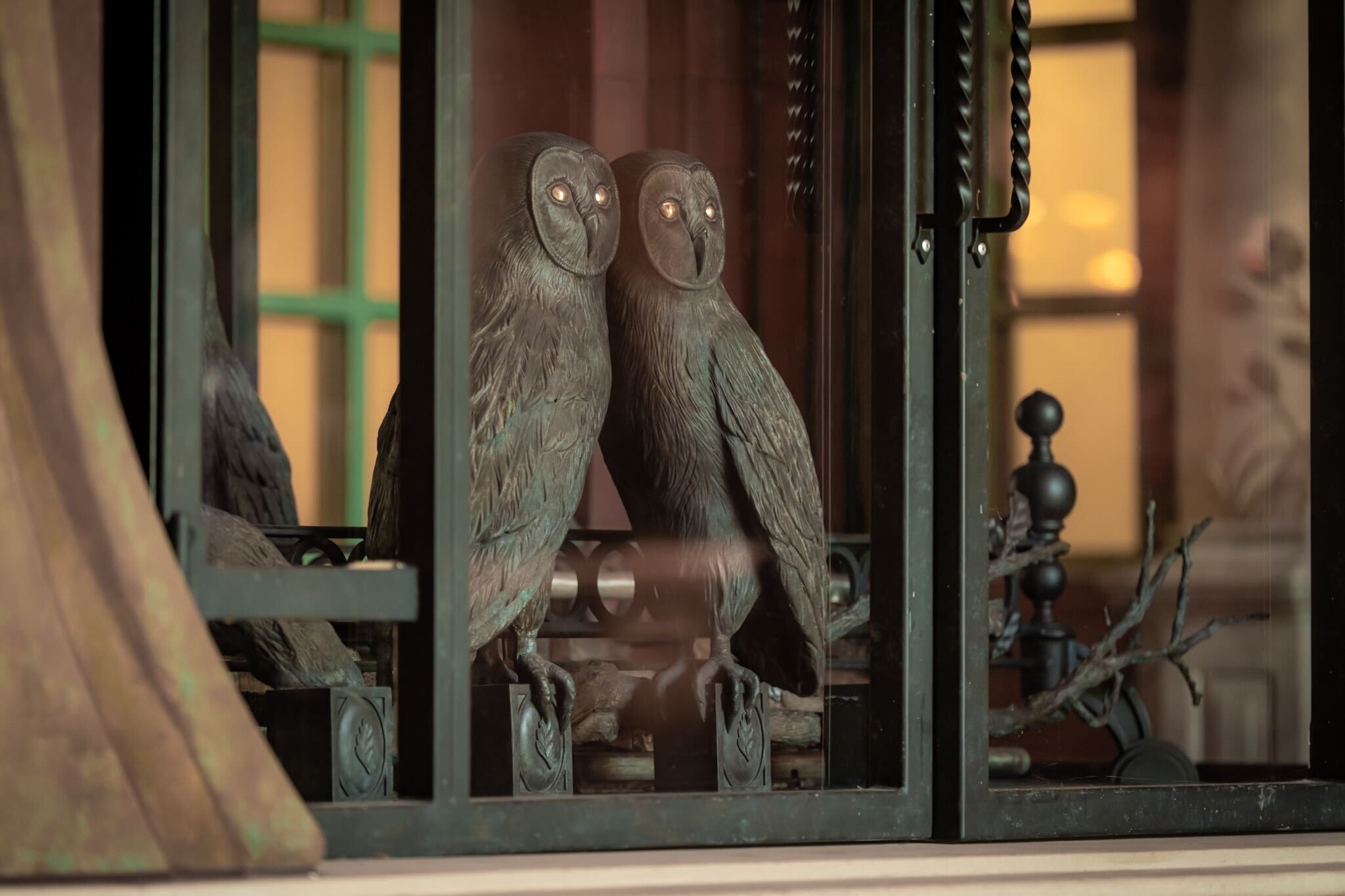The Plastered Owl at Universal Epic Universe