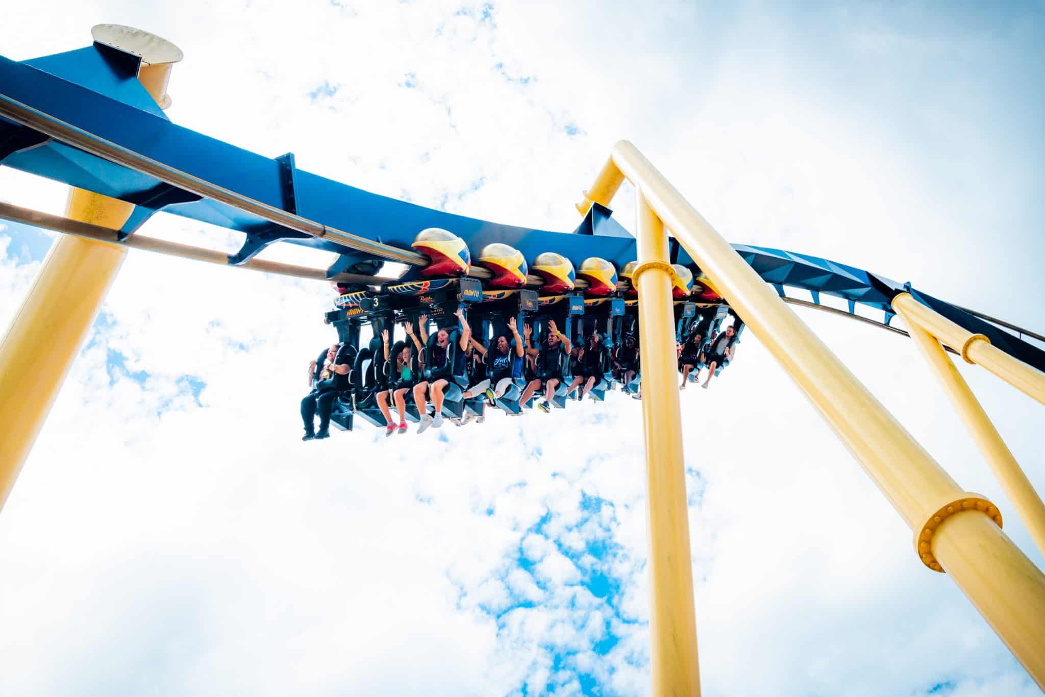 Montu and Busch gardens Tampa Bay