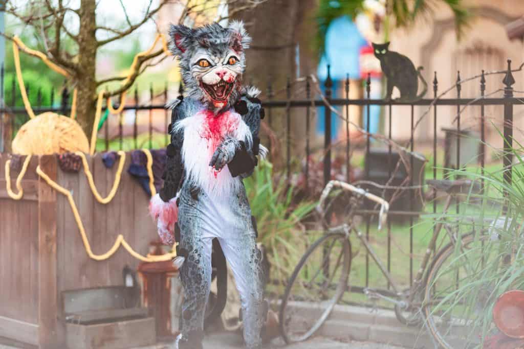 The Cat Lady of Crooked Lane at Halloween Horror Nights 2025